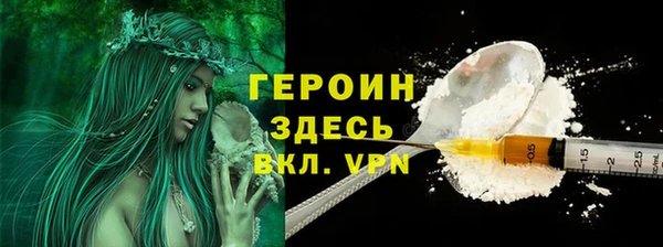 сатива Бородино