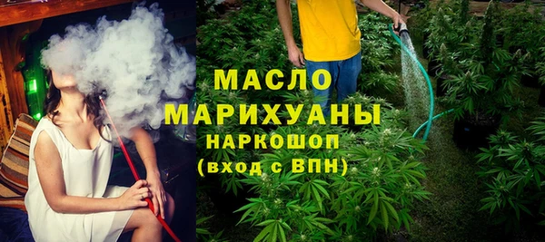 сатива Бородино