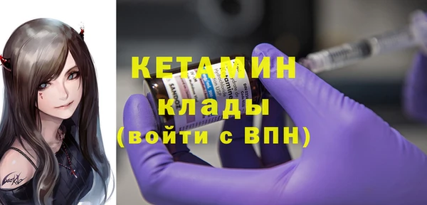 сатива Бородино