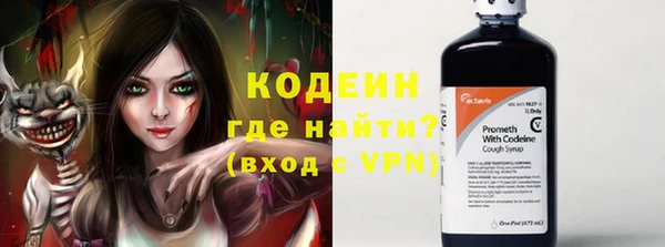 сатива Бородино