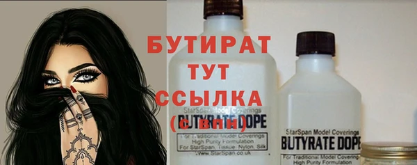 сатива Бородино