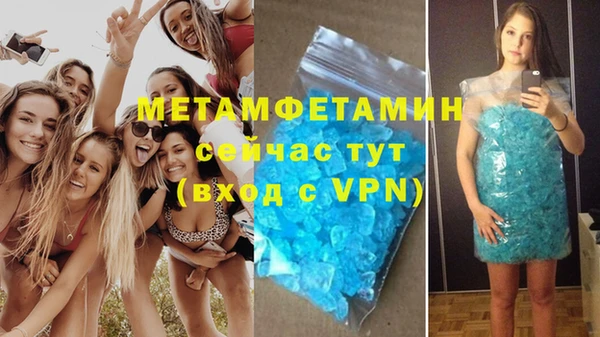 сатива Бородино