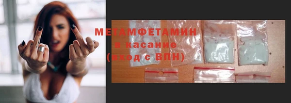 сатива Бородино