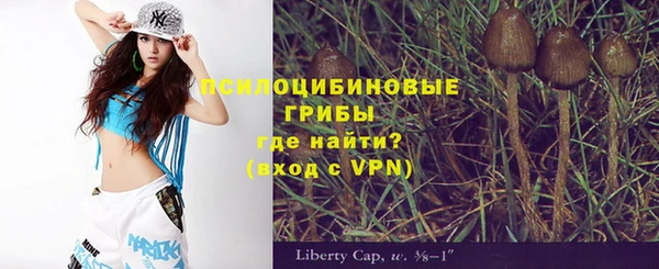 сатива Бородино