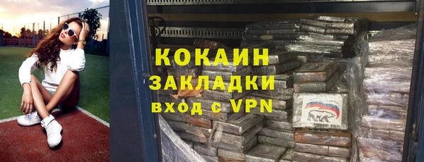 сатива Бородино