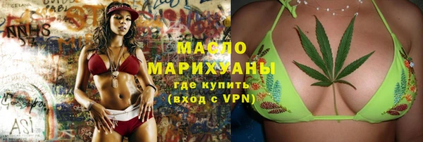 сатива Бородино