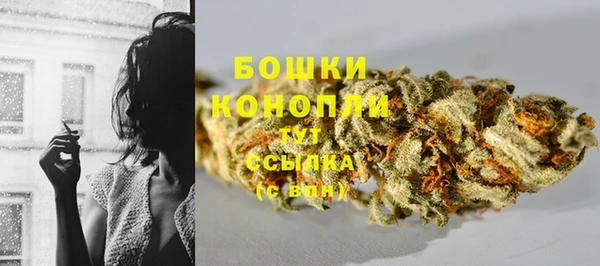 сатива Бородино