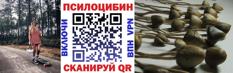 Галлюциногенные грибы MAGIC MUSHROOMS  Купить  Навашино 